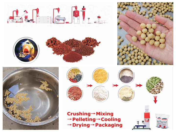 <h3>Food Processing Plants and Line in Indonesia</h3>
